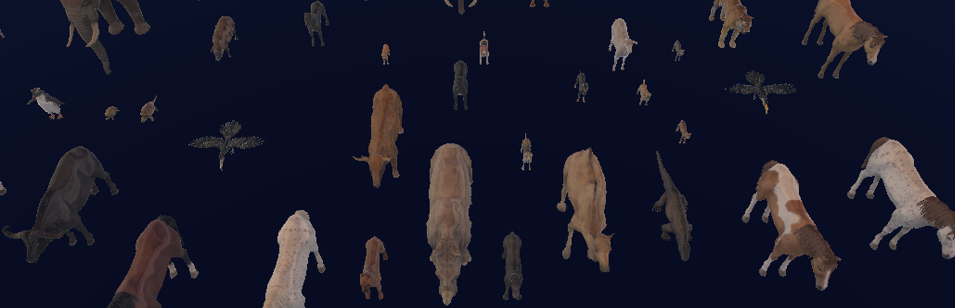 How Much Items - Animals