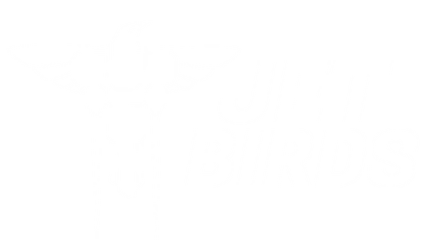 Jet Birds Logo