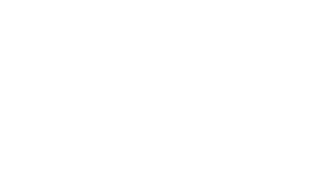 ANLG_VOID Logo