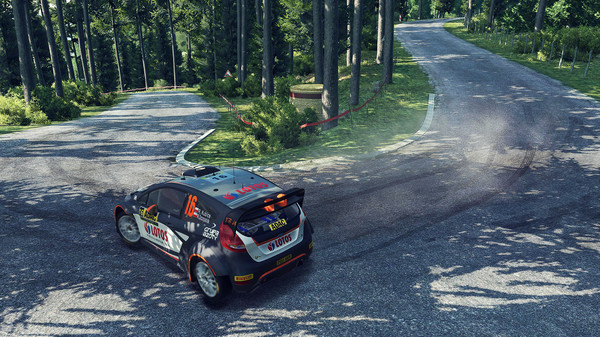 WRC 5 FIA World Rally Championship minimum requirements