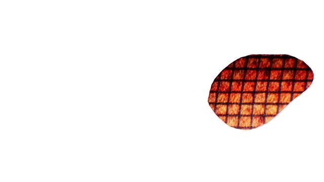 Discussion Over Dinner Logo