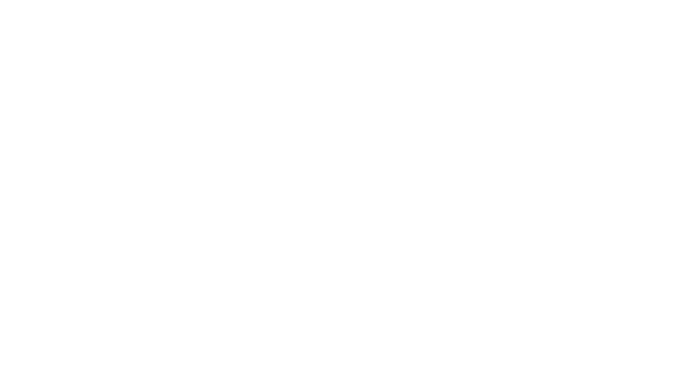 Sébastien Loeb Rally EVO Logo