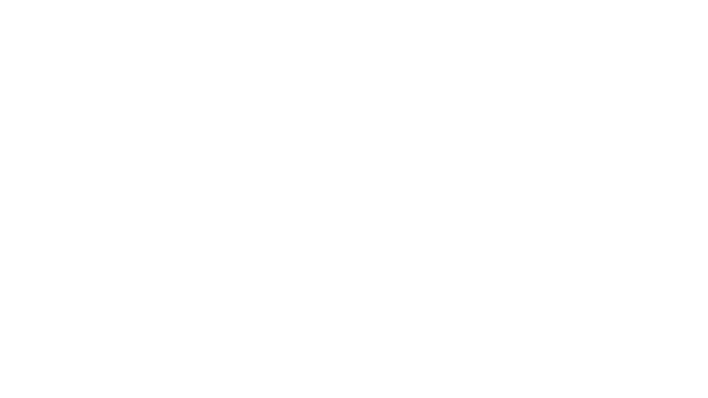 XELVITA Logo
