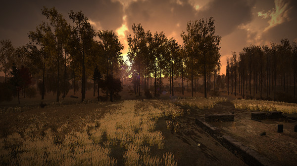 Скриншот из Home is Where One Starts...