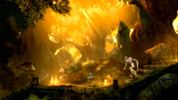 Can i run Trine Enchanted Edition