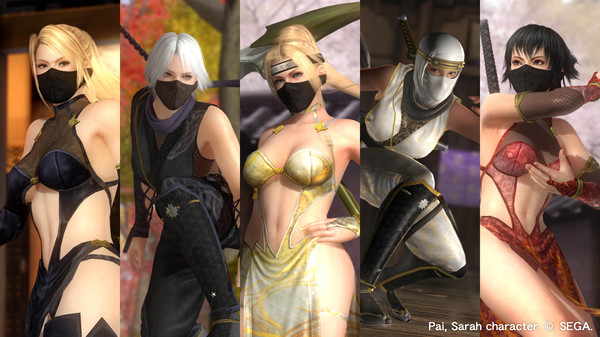 Скриншот из DOA5LR Variety Costume Set