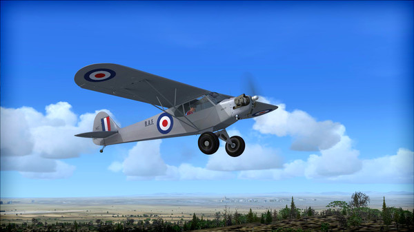 Скриншот из FSX: Steam Edition - Piper J-3 Cub Add-On