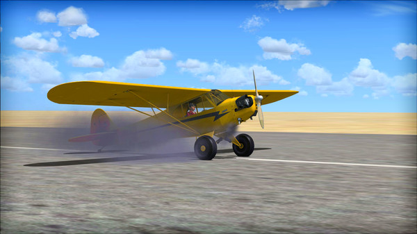 Скриншот из FSX: Steam Edition - Piper J-3 Cub Add-On