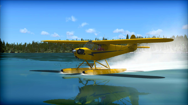 Скриншот из FSX: Steam Edition - Piper J-3 Cub Add-On