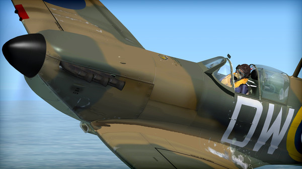 Скриншот из FSX: Steam Edition - Battle of Britain Spitfire Add-On