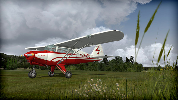 Скриншот из FSX: Steam Edition - Piper Pacer 180 Add-On