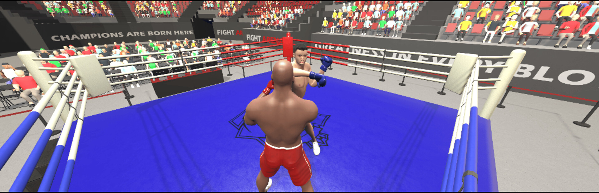 Ragdoll Boxing Multiplayer