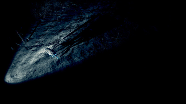 Скриншот из Kona