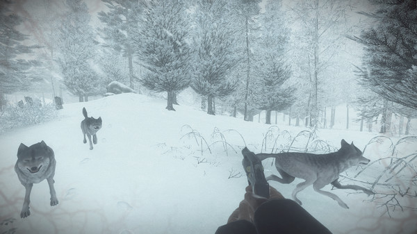 Скриншот из Kona