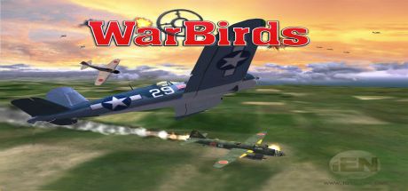 WarBirds - World War II Combat Aviation cover art