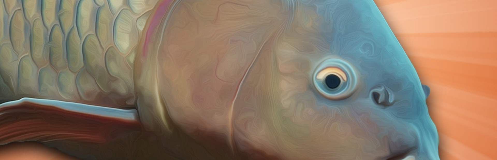 Carp Fishing Simulator