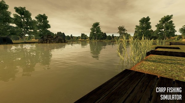 Скриншот из Carp Fishing Simulator