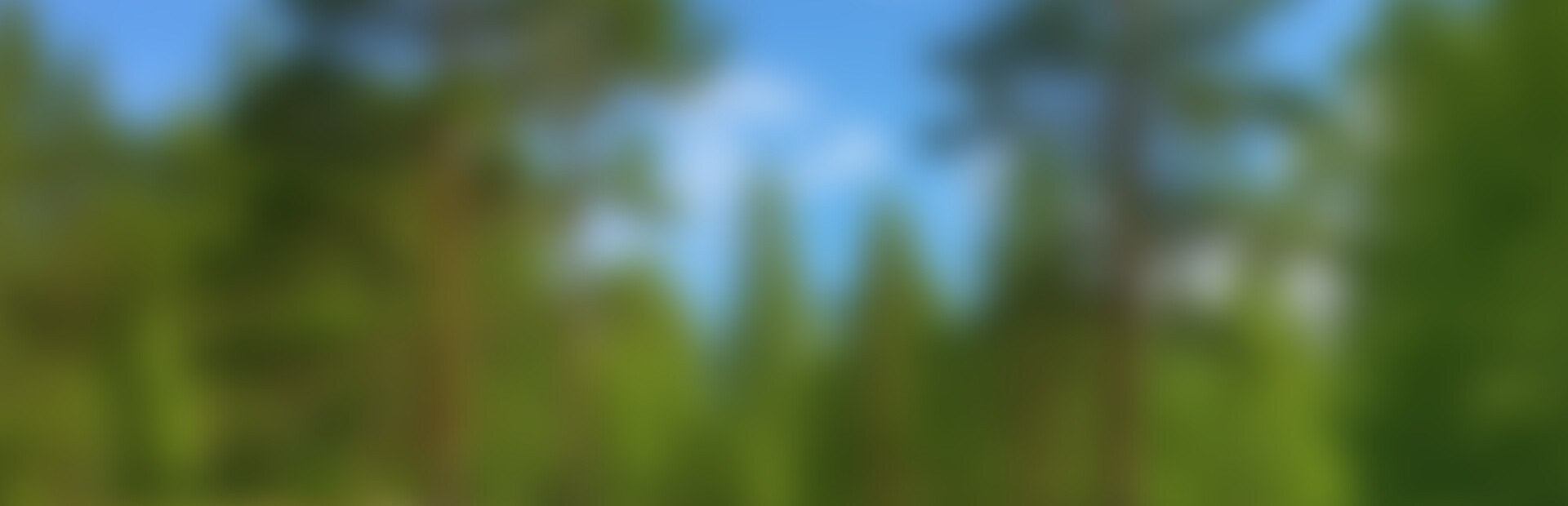 Bakery Cafe Simulator: Prologue