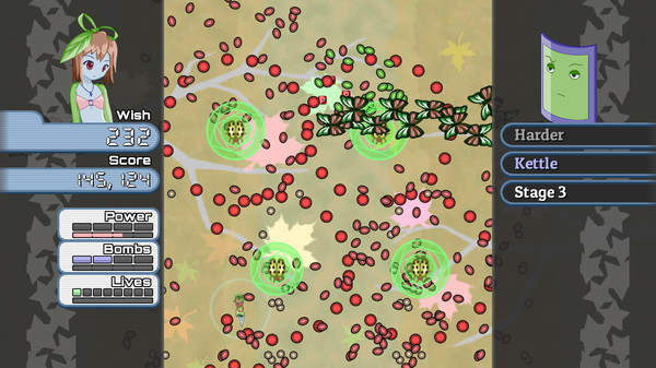 Wish Project for linux