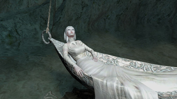 The Void game for Linux 1