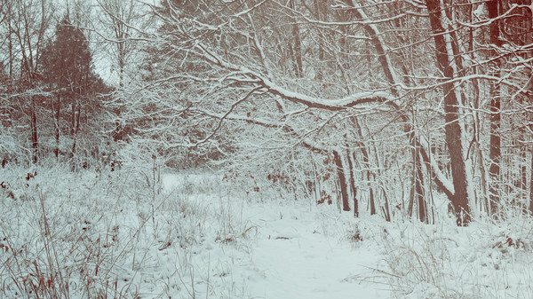 Скриншот из Pillar Original Soundtrack Скриншот из Pillar Original Soundtrack