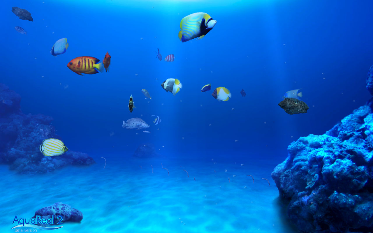 aqua real 2 ocean 001 3d screensaver in hd aqua real 2 ocean 001 3d screensaver in hd