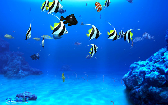 DigiFish Aqua Real 2 screenshot