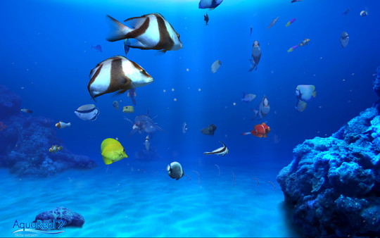 DigiFish Aqua Real 2 System Requirements - Can I Run It? - PCGameBenchmark