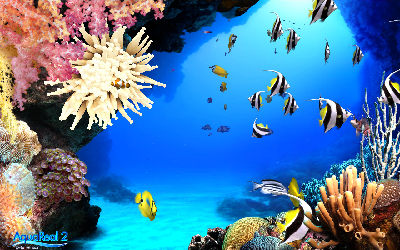 digifish aqua real 2 torrent