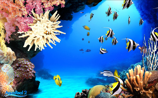 Скриншот из DigiFish Aqua Real 2