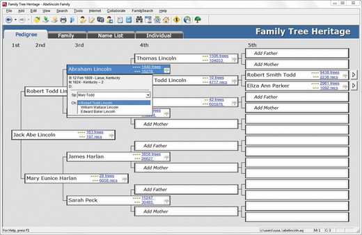 Family Tree Heritage Platinum 9 PC requirements