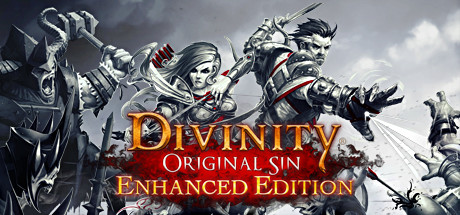 Divinity: Original Sin Enhanced Edition cover art