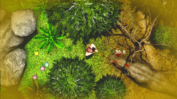 DinoSystemfor windows and Linux 1