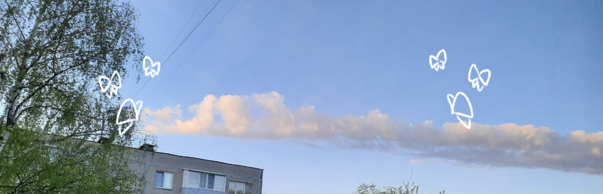 The Day in a Life of a Dayfly