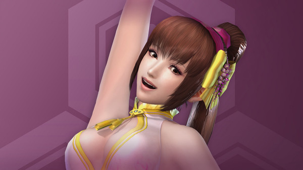 Скриншот из SAMURAI WARRIORS 4-II - Special Costume Set 2
