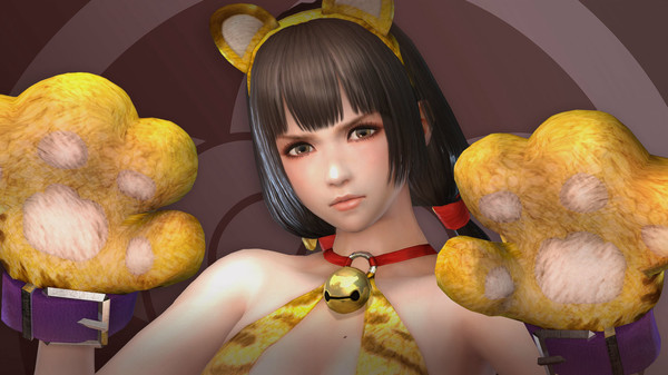 Скриншот из SAMURAI WARRIORS 4-II - Special Costume Set 2