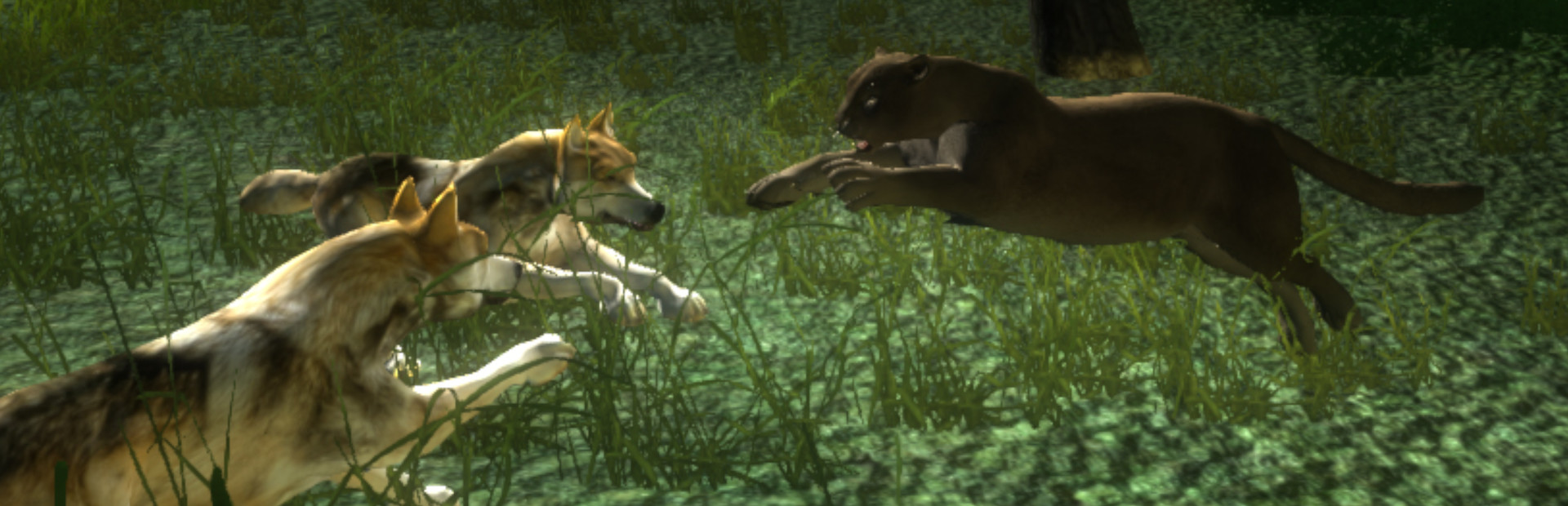 Untamed: Life Of A Cougar