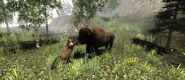 Untamed: Life Of A Cougar game for windows Pc 1