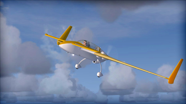 Скриншот из FSX: Steam Edition - Rutan 61 Long EZ Add-On