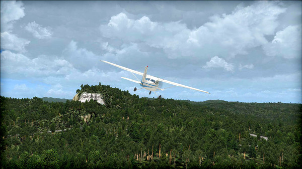 Скриншот из FSX: Steam Edition - Natural Tree Environment X Add-On