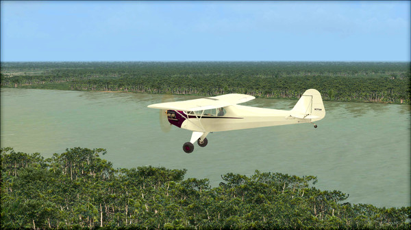 Скриншот из FSX: Steam Edition - Natural Tree Environment X Add-On