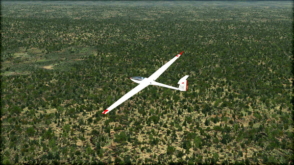 Скриншот из FSX: Steam Edition - Natural Tree Environment X Add-On