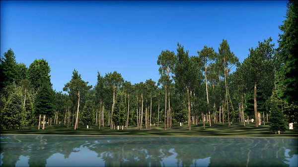 Скриншот из FSX: Steam Edition - Natural Tree Environment X Add-On