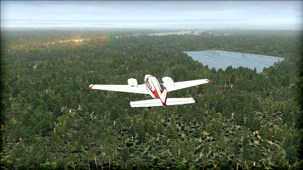 Скриншот из FSX: Steam Edition - Natural Tree Environment X Add-On