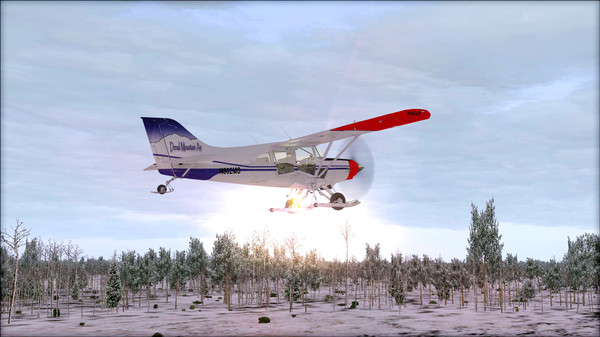 Скриншот из FSX: Steam Edition - Natural Tree Environment X Add-On