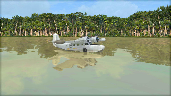 Скриншот из FSX: Steam Edition - Natural Tree Environment X Add-On