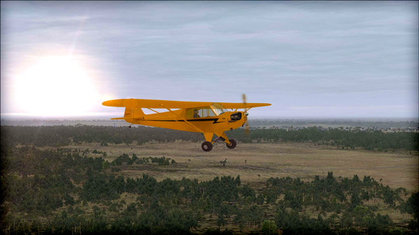 Скриншот из FSX: Steam Edition - Natural Tree Environment X Add-On