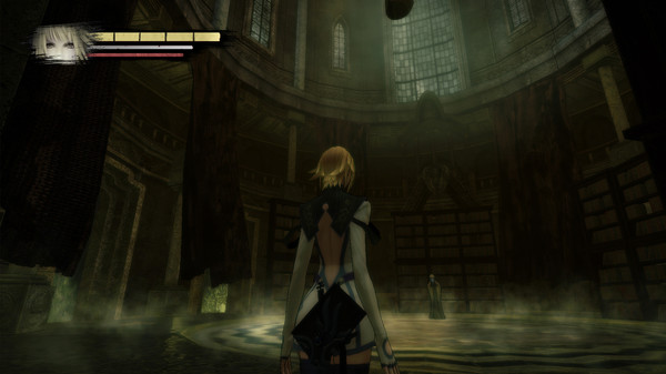 Скриншот из Anima Gate of Memories