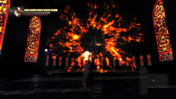 Скриншот из Anima Gate of Memories