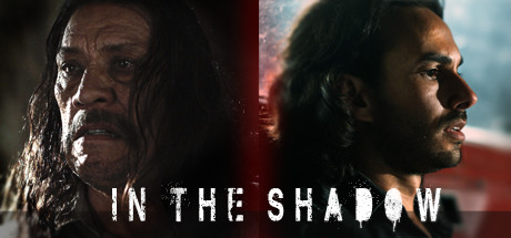 In The Shadow cover art